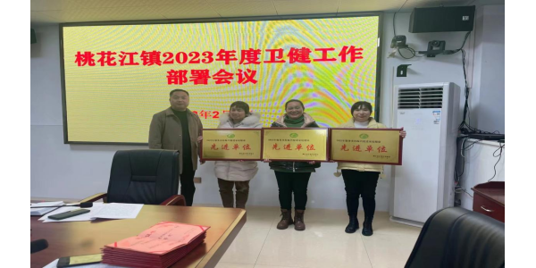 桃江县着力推进服务乡村振兴促进 家庭健康