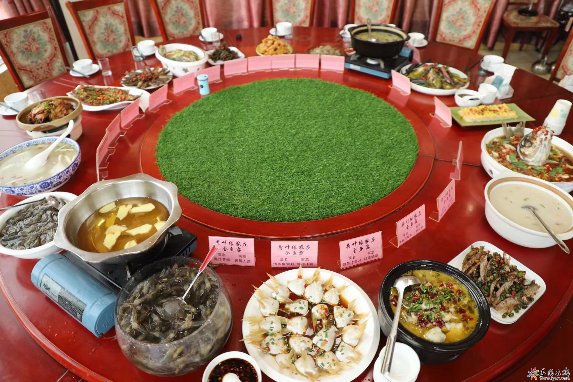 大通湖区推出“全鱼宴”，28道菜鲜香四溢